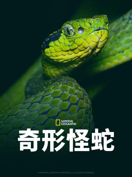 国产传媒《奇形怪蛇》免费在线观看